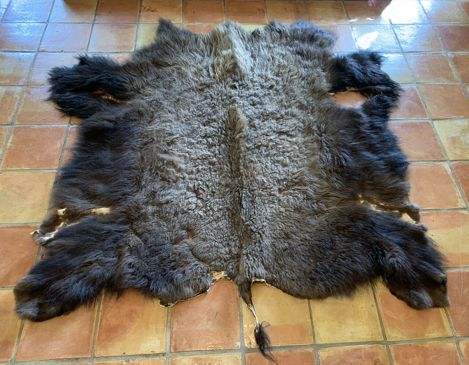 Vtg Buffalo Hide Rug Rustic Hunting Lodge Bison Area Rug Wooly Western 6’x7’ Ft