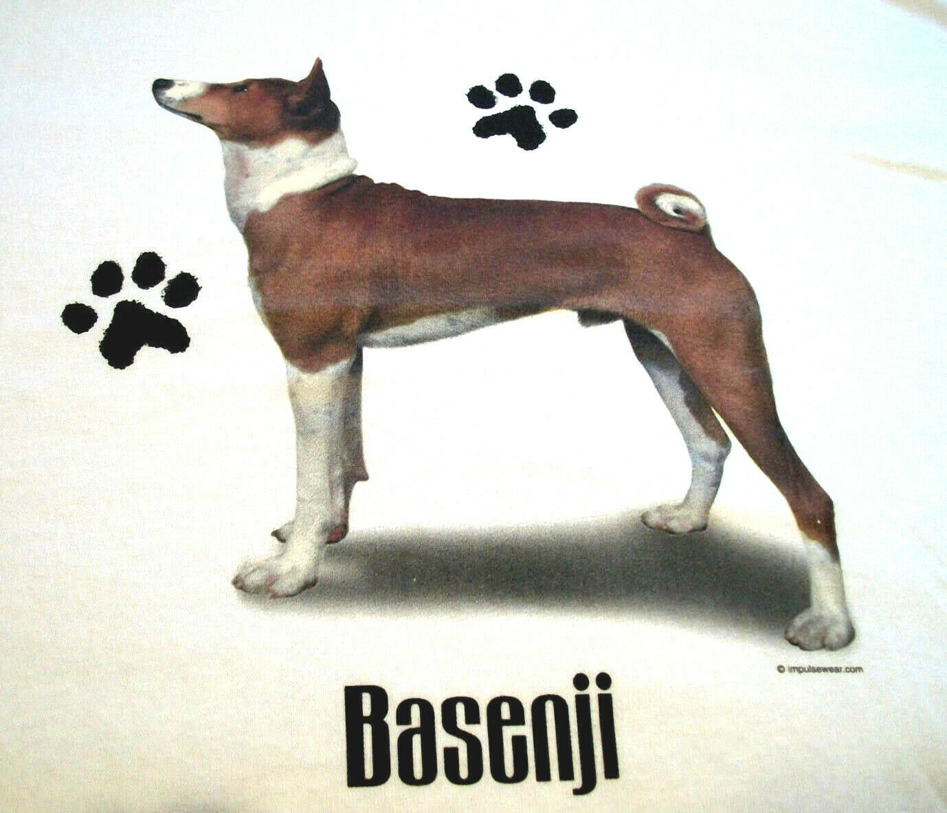 Basenji #2 T-shirt ~ White ~ Size 2xl ( 50 ~ 52 )